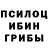Галлюциногенные грибы Psilocybe Beatka Xabrovi4