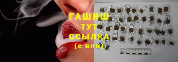 индика Надым